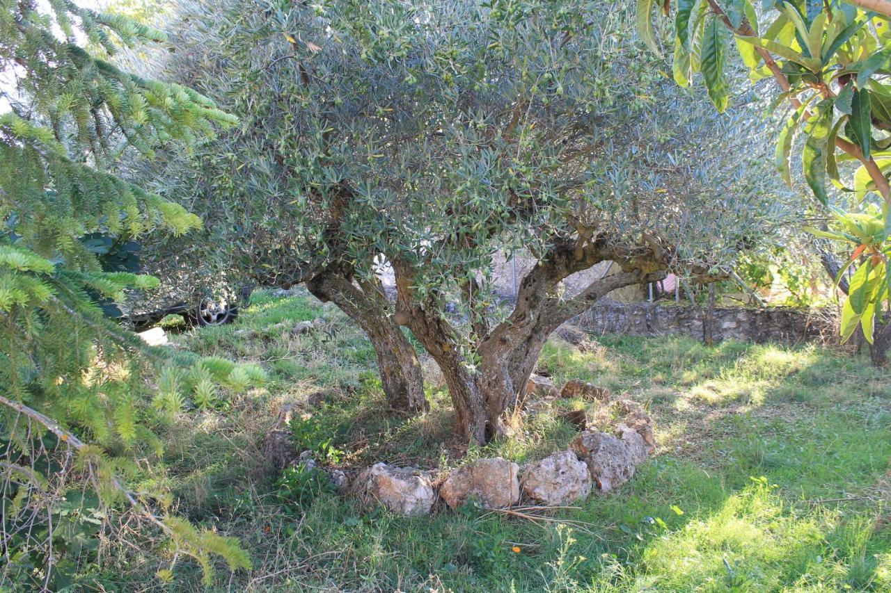 Casa Rural Baobab Romancos Exteriör bild